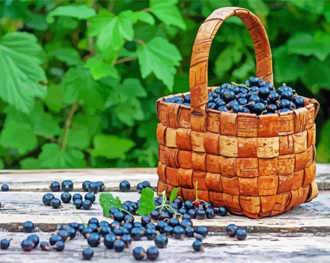 Cassis Basket Painting By Numberss.png