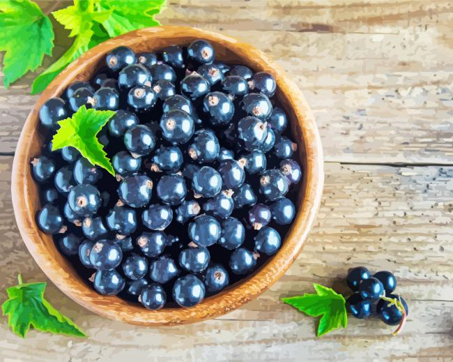 Cassis Bowl Painting By Numberss.png