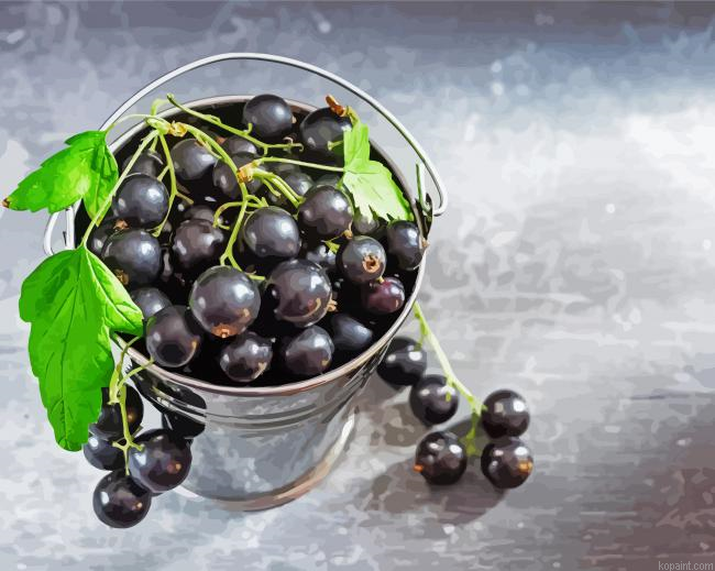Cassis Fruit Painting By Numberss.png
