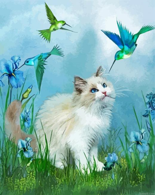 Cat And Hummingbird Art Painting By Numberss.png