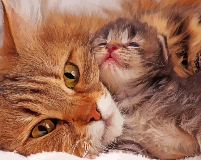 Cat And Kitten Snuggling Painting By Numberss.png