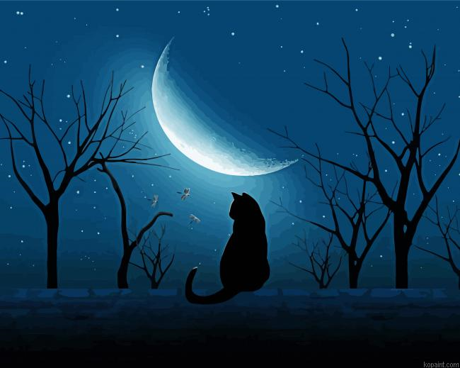 Cat And Moon Painting By Numberss.png
