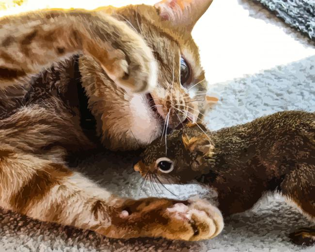 Cat And Squirrel Animals Painting By Numberss.png