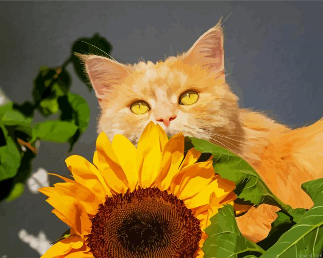 Cat And Sunflower Paint By Numbers