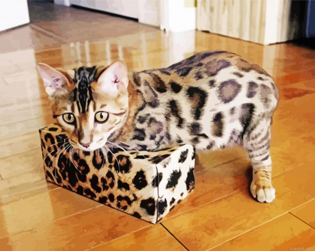 Cat Bengal Painting By Numberss.png