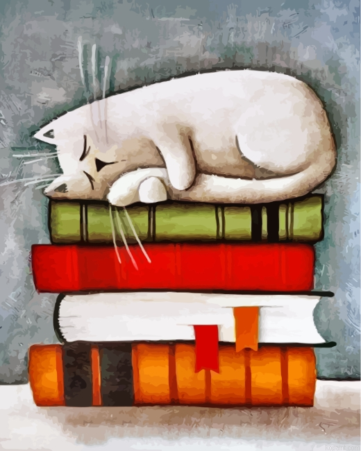 Cat On Books Painting By Numberss.png