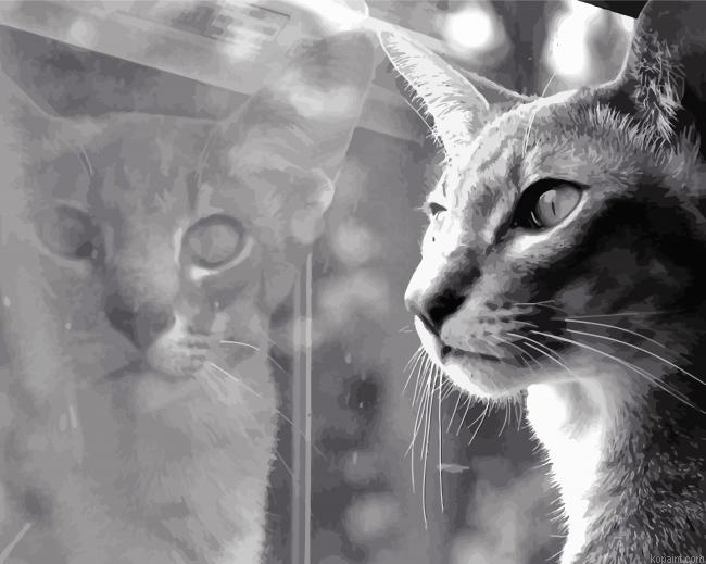 Cat Refletion Black And White Painting By Numberss.png