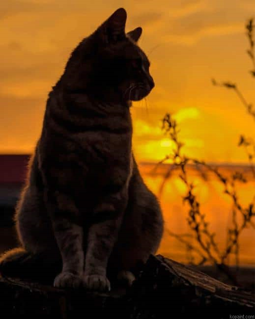 Cat Silhouette New Painting By Numberss.png