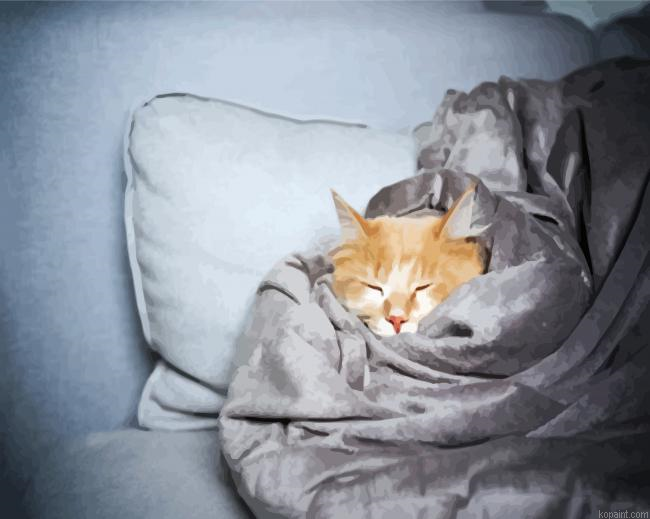 Cat Sleeping In A Blanket Painting By Numberss.png