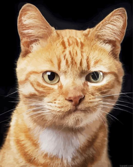 Cat Smirking Painting By Numberss.png