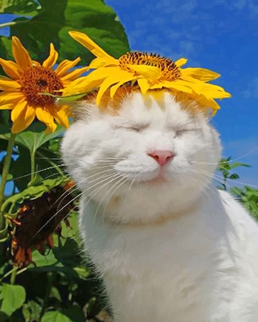 Cat With Sun Flowers New Painting By Numberss.png