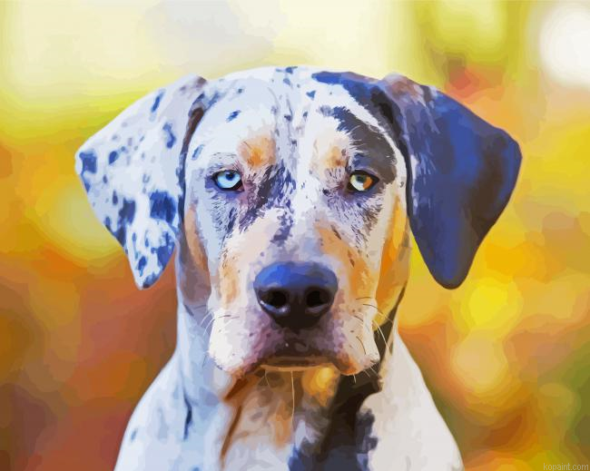 Catahoula Painting By Numberss.png