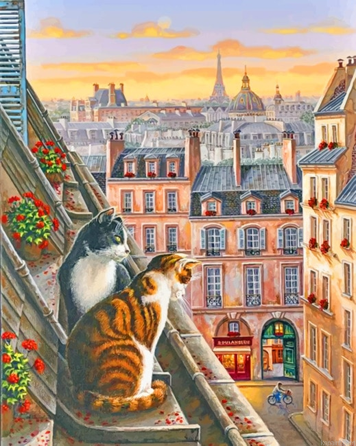 Cats Animals Painting By Numberss.png