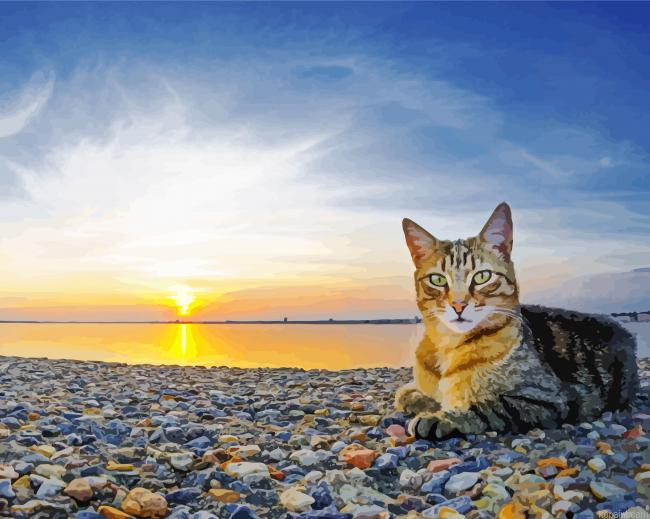 Cats On Beach At Sunset Painting By Numberss.png