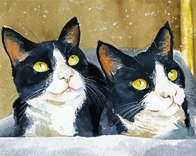 Cats Tuxedo Art Painting By Numberss.png