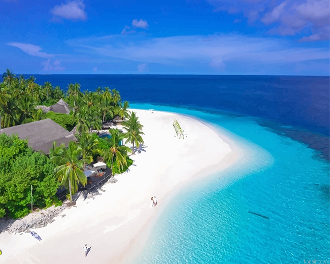 Cay Island New Painting By Numberss.png
