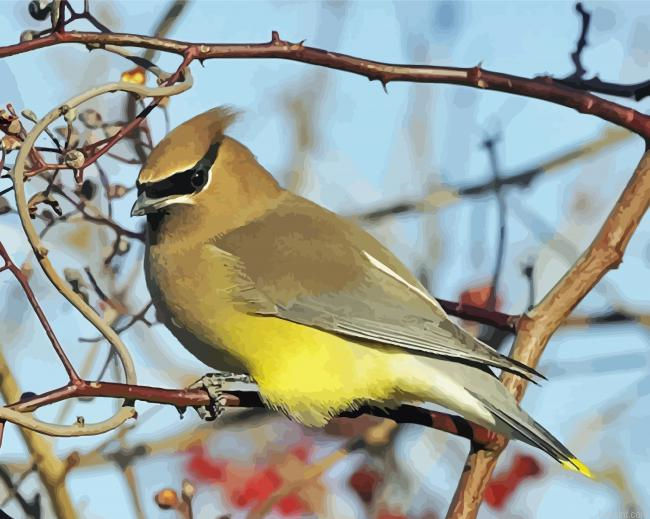 Cedar Tree With Bird Painting By Numberss.png