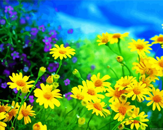 Chamomile Yellow Flowers Field Painting By Numberss.png