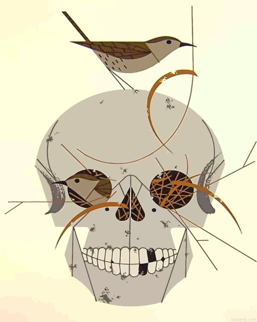 Charley Harper Skull Painting By Numberss.png