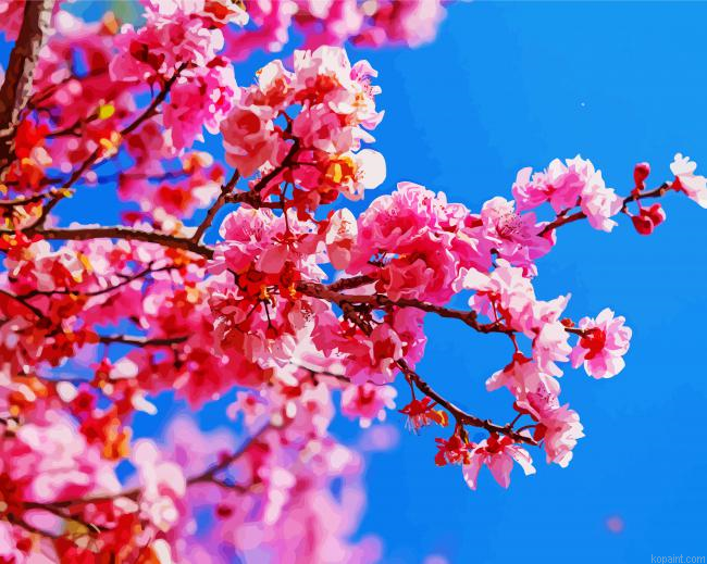Charry Blossoms Tree Branche Painting By Numberss.png