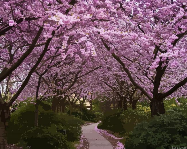 Charry Blossoms Trees Painting By Numberss.png