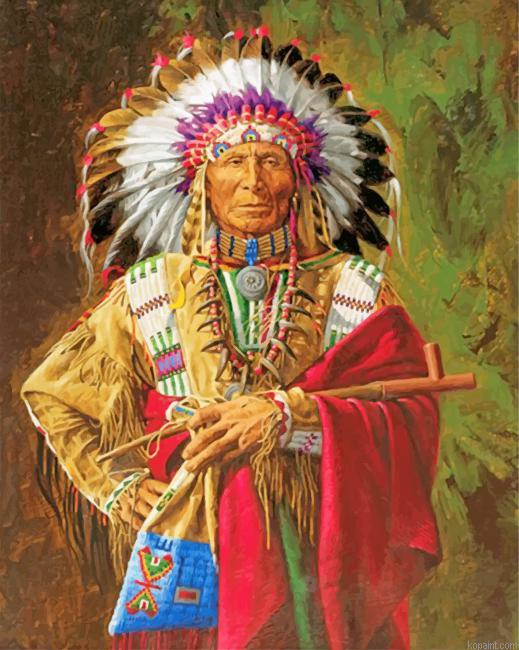 Cherokee Chief Native American Painting By Numberss.png