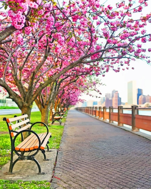 Cherry Blossom Nyc Cities Painting By Numberss.png