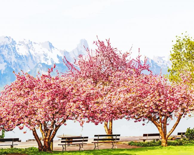 Cherry Blossom Tree Japane Painting By Numberss.png