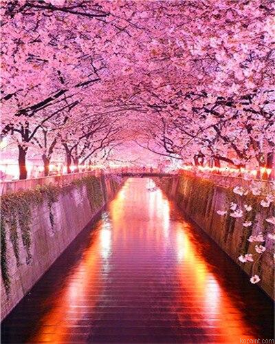 Cherry Blossoms Park Landscape Painting By Numberss.png