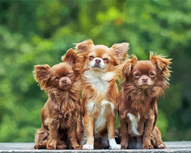 Chihuahua Dogs Painting By Numberss.png