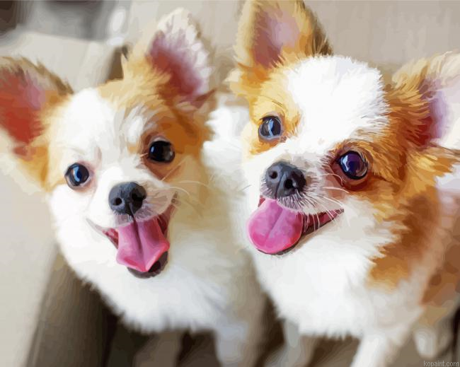 Chihuahuas Painting By Numberss.png