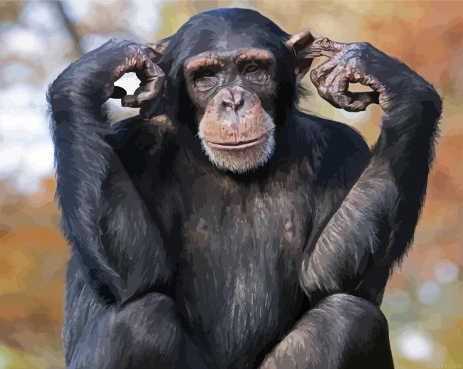Chimpanzee Animal Painting By Numberss.png