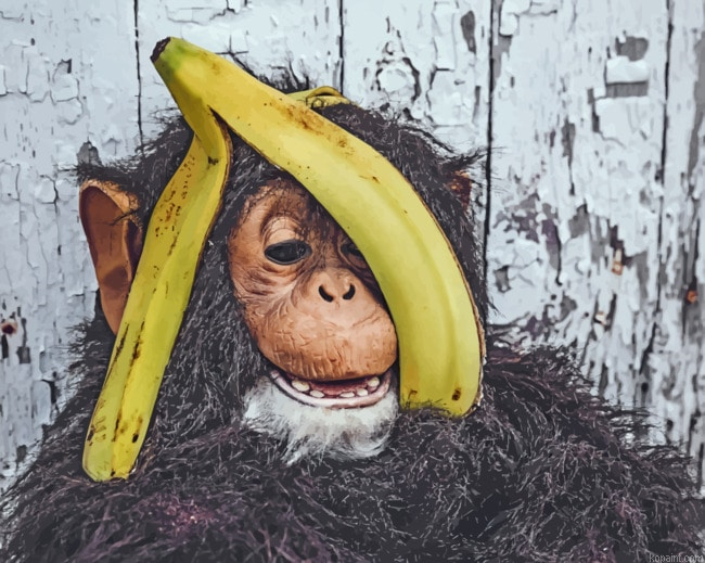 Chimpanzee With Banana Painting By Numberss.png