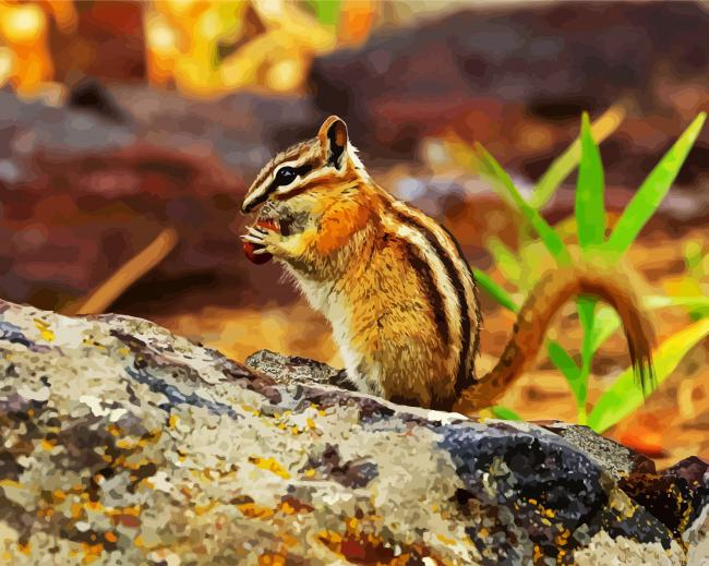 Chipmunk Eating Painting By Numberss.png