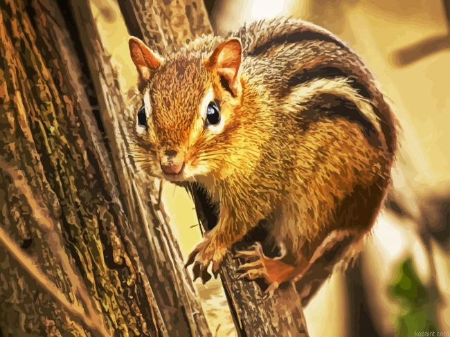 Chipmunks Animal Painting By Numberss.png