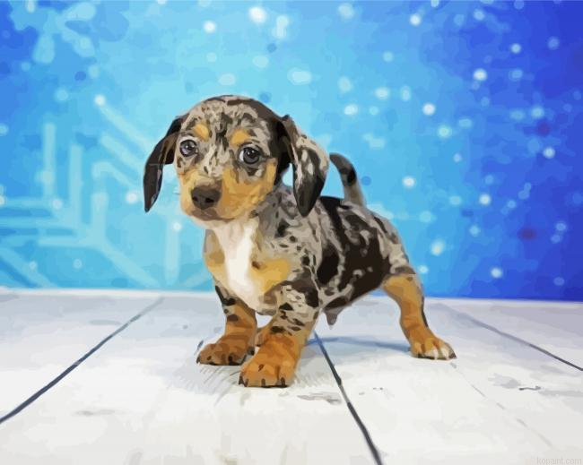 Chiweenie Puppy Animal Paint By Numbers