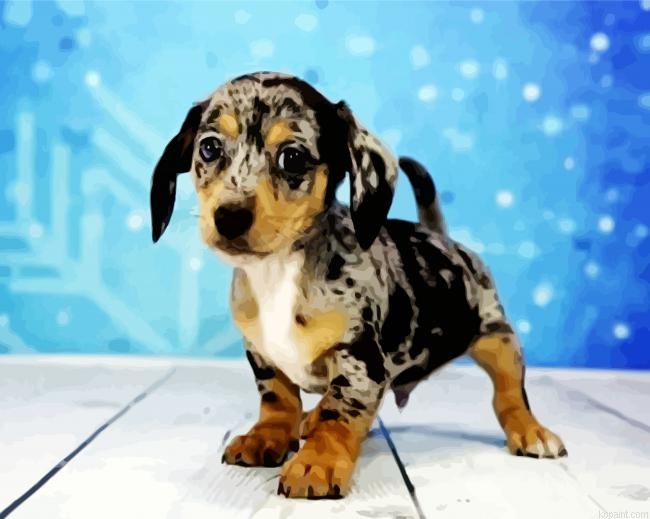 Chiweenie Puppy Painting By Numberss.png