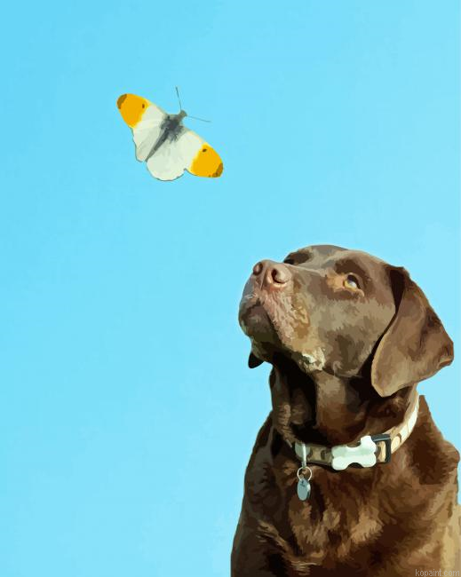 Chocolate Labrador And Butterfly Painting By Numberss.png