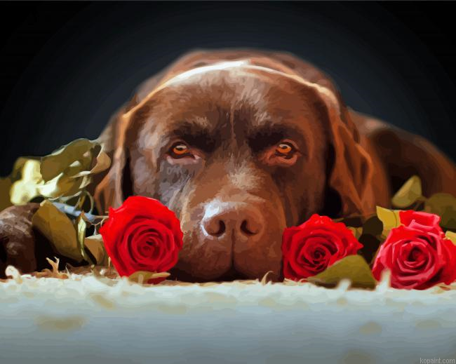 Chocolate Labrador And Roses Painting By Numberss.png