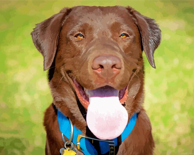 Chocolate Labrador Dog Painting By Numberss.png