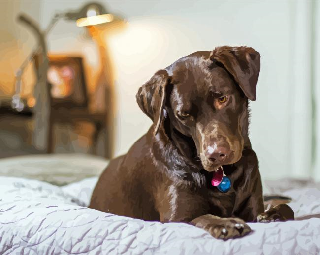 Chocolate Labrador Painting By Numberss.png