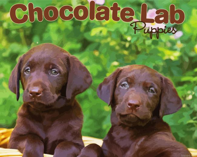 Chocolate Labrador Retriever Dogs Painting By Numberss.png