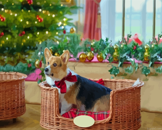 Christmas Corgi Dog Paint By Numbers