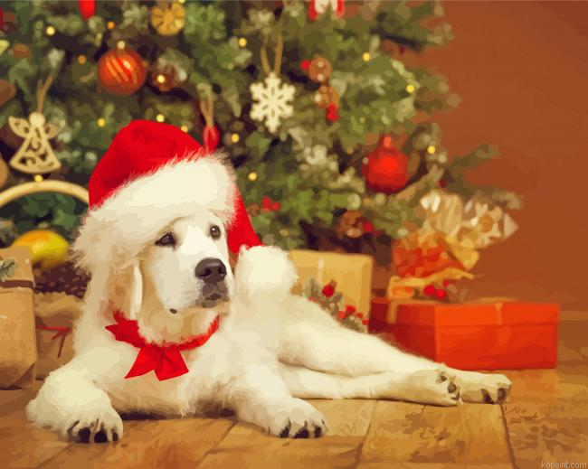 Christmas White Labrador Paint By Numbers