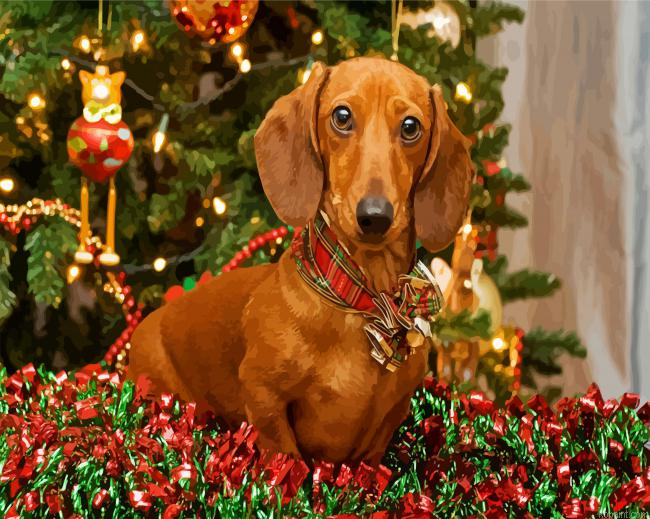 Christmas Dachshund Dog Paint By Numbers.png