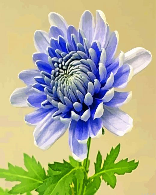 Chrysanthemum Flower Painting By Numberss.png