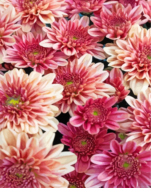 Chrysanthemum Flowers Painting By Numberss.png