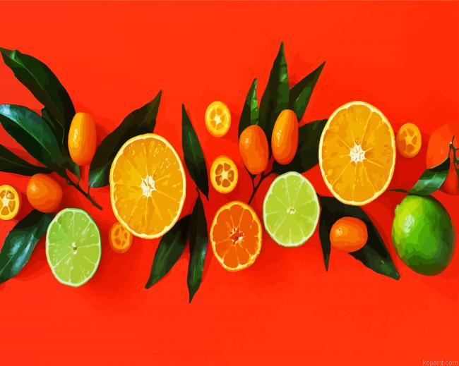Citrus Painting By Numberss.png