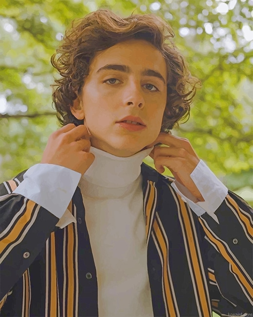 Classy Timothee Chalamet New Painting By Numberss.png