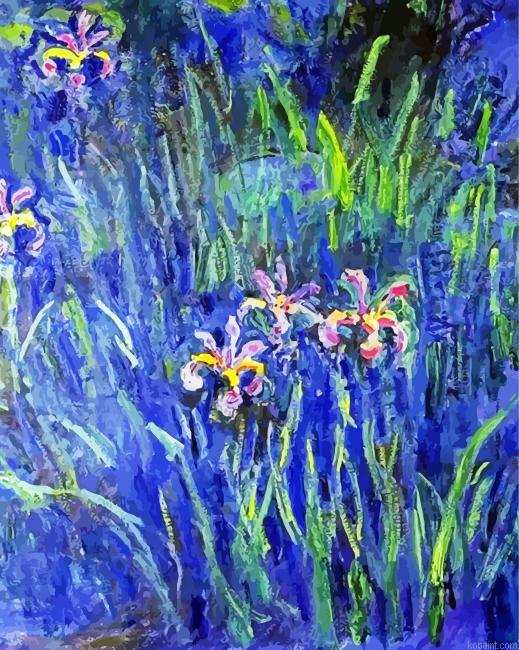 Claude Monet Irises Painting By Numberss.png